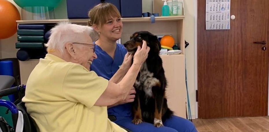 Ergotherapie mit Hund